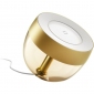 Світильник розумний Philips Hue Iris 2000K-6500K Color Bluetooth (929002376402) Gold - фото 2 - Samsung Experience Store — брендовий інтернет-магазин